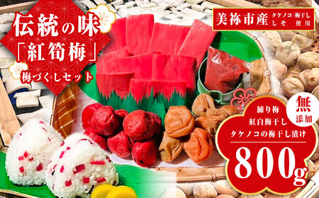 紅筍梅 タケノコの梅干し漬け 紅白梅干しセット 800g｜ ウメ 梅 梅干し 無添加 詰め合わせ 山口 美祢 特産品 しそ 赤しそ 練梅 白梅 赤梅 ペースト たけのこ タケノコ 昔ながら 伝統 家庭 味