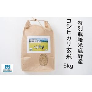 特別栽培米鹿野産コシヒカリ玄米5kg (5kgx1袋)*北海道・沖縄・離島への配送不可*
