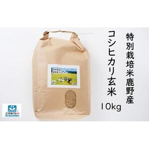 特別栽培米鹿野産コシヒカリ玄米10kg（10kgx1袋)＊北海道・沖縄・離島への配送不可＊