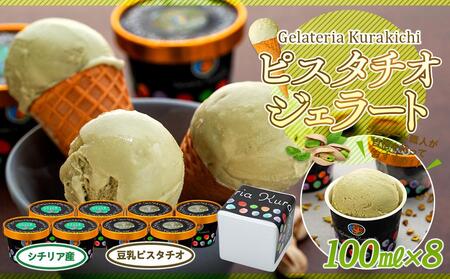 【数量限定】ピスタチオ ジェラート 100ml×8個（2種各4個）食べ比べ【アイス スイーツ 人気 デザート 冷凍 氷菓子 小分け セット 詰め合わせ イタリア シチリア産 豆乳 ピスタチオ】