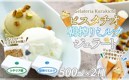 【数量限定】ジェラート 500ml×2種 食べ比べ  シチリア産 ピスタチオ 朝搾りミルク【大容量 アイス 業務用 セット 合計 1リットル スイーツ 人気 デザート 冷凍 氷菓子 家族 ファミリーサイズ】