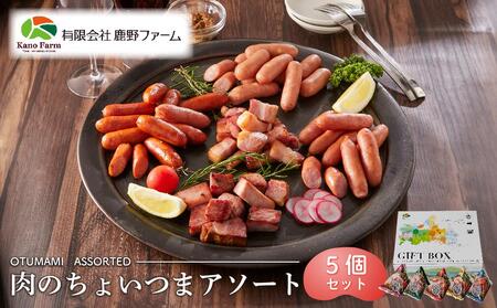 [ふるなび限定]鹿野ファーム 肉のちょいつま5種アソート 5個セット FN-Limited