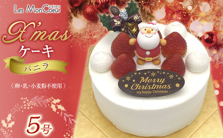 【先行予約】クリスマスケーキ・バニラ【卵・乳製品・小麦粉不使用】 5号（15cm）