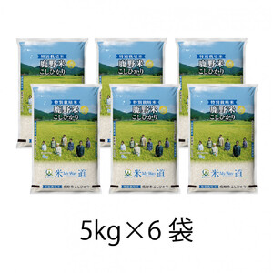 [定期便]特別栽培米鹿野産こしひかり精米30kg(5kg×6袋)
