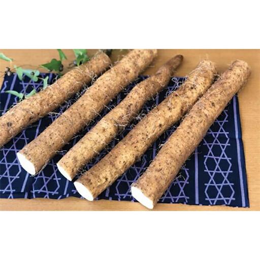 【自宅用】よくばり自然薯セット