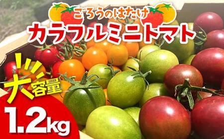 e 낤̂͂ Jt~jg}g 1.2kg x Z g}g T_ Rzc F6L-646