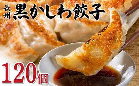 長州黒かしわ餃子 120個入り 手作り 生餃子 餃子 国産野菜 冷凍 化学調味料不使用 化学調味料無添加 らいちの餃子 黒かしわ 長州黒かしわ F6L-953