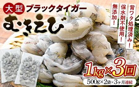 ブラックタイガーむきえび 1kg×3回定期便(3ヶ月連続) エビ 海老 むき身 海鮮 魚介類 無添加 バラ凍結 保水剤不使用 下処理済み