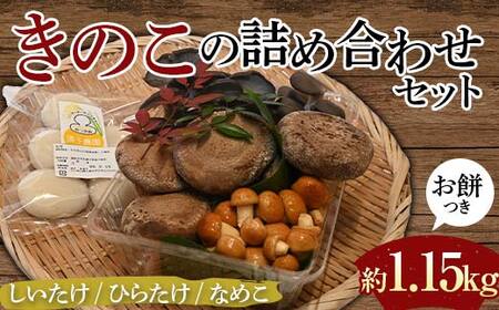 [先行予約]きのこの詰め合わせセットお餅つき(約1,150g) 農家直送 しいたけ ひらたけ なめこ お餅 ご当地 グルメ 食品