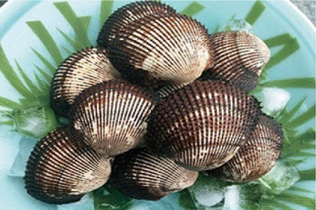 ~G聙qh哇YrVRIktԊLTystJnI2026N124ȍ~̂͂z