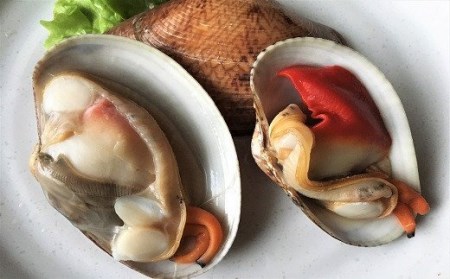 ~G聙YɓIԂ܃qLI4yVRzstJnI2026N27ȍ~̂͂