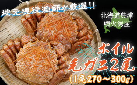 【令和7年度発送先行予約】【地元現役漁師が厳選！！】ボイル・毛ガニ2尾（1尾270～300g）北海道 豊浦 噴火湾 【 ふるさと納税 人気 おすすめ ランキング 魚介類 カニ 蟹 かに 毛がに 毛蟹 大容量 お得 おいしい 美味しい 新鮮 北海道 豊浦町 送料無料 】 TYUR005