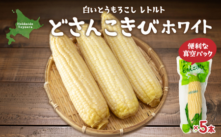 どさんこきびホワイト5本 北海道産 [ ふるさと納税 人気 おすすめ ランキング 野菜 その他野菜 とうもろこし トウモロコシ 国産 ホワイト 白い 大容量 おいしい 美味しい 甘い 北海道 豊浦町 送料無料 ]