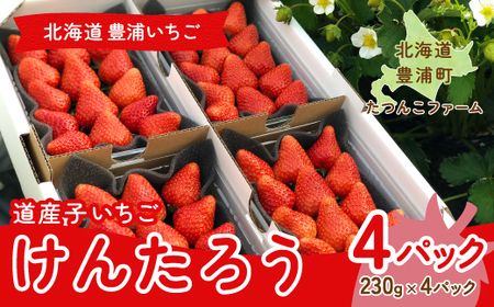 北海道いちご　けんたろう　230g×4パック 【ふるさと納税 人気 おすすめ ランキング 果物 いちご苺 イチゴ 国産いちご 国産苺 けんたろう セット  おいしい 美味しい 北海道 豊浦町 送料無料】 TYUF005