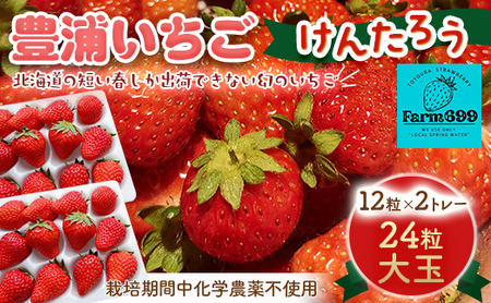 いちご 【2026年4月下旬以降出荷】豊浦いちご 大玉12粒×2トレー TYUAH001