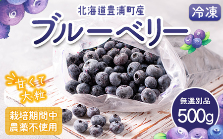 栽培期間中農薬不使用冷凍ブルーベリー 無選別品 500g [ ふるさと納税 人気 おすすめ ランキング 果物 ブルーベリー 冷凍ブルーベリー 国産ブルーベリー 濃厚 大容量 おいしい 美味しい あまい 新鮮 北海道 豊浦町 送料無料 ]