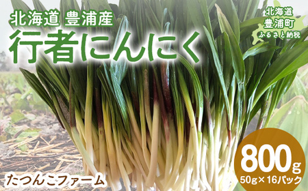 [2026年2月以降順次出荷]北海道豊浦産 行者にんにく 50g×16パック TYUF009 | にんにく