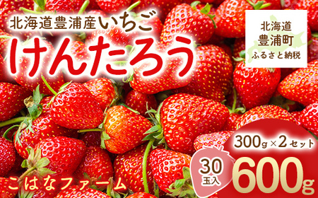 y2026N5zkCY@LY@񂽂낤@30ʓ@300×2Zbg TYUAG001