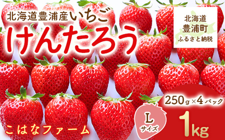 y2026N5z kCY LY 񂽂낤 LTCY 250×SpbN TYUAG002