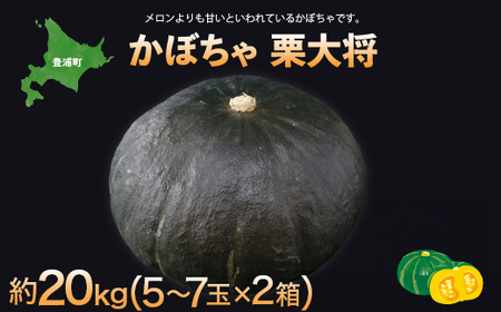 【先行予約】北海道 豊浦町 かぼちゃ 栗大将 約20kg （1箱5～7玉）約10kg×2箱（2025年9月の収穫後より順次発送）【 かぼちゃ 南瓜 カボチャ 国産 】 TYUL033