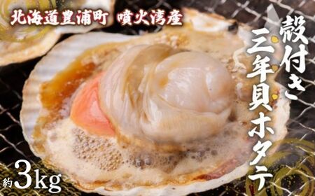 【先行予約】北海道 豊浦町 殻付き 3年貝 活ホタテ 約3kg（12～15枚）（2025年12月中旬から12月末まで順次発送） TYUP005