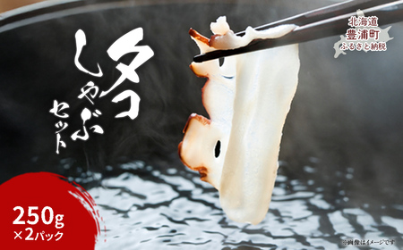 ^RԃZbg 250g×2pbN TYUR050