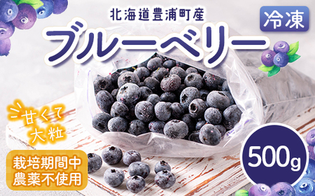 冷凍 ブルーベリー 500g 【 ふるさと納税 人気 おすすめ ランキング 果物 ブルーベリー 冷凍ブルーベリー 国産ブルーベリー 濃厚ブルーベリー 大容量 おいしい 美味しい あまい 新鮮 北海道 豊浦町 送料無料 】 TYUS023