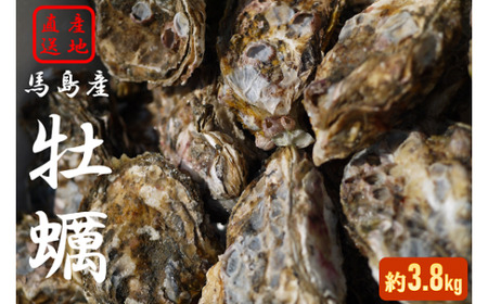 【約3.8㎏】馬島産 牡蠣/かき カキ 生牡蠣 殻付き【期間限定※2026年1月中旬～3月下旬発送】