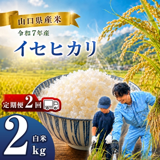 [ 定期便 ] 令和7年産 山口県産米 イセヒカリ 2kg 2回