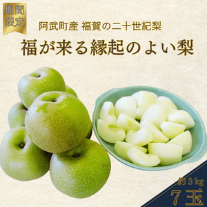 [ 先行予約 ] 二十世紀梨 約3kg (7玉) 福賀産 ( 山口県 阿武町 ) 高糖度&シャキシャキ食感 昼夜の寒暖差が育む旬の味 梨 フルーツ 果物 デザート [お届け:2025年8月下旬〜9月15日頃] 数量限定