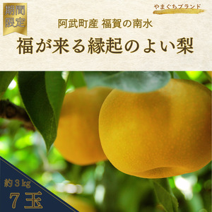 [ 先行予約 ] 南水梨 約3kg (7玉) 福賀産 ( 山口県 阿武町 ) 高糖度 & シャキシャキ食感 やまぐちブランド認定の旬の味 梨 フルーツ 果物 デザート [お届け:2025年9月20日頃〜順次出荷] 数量限定