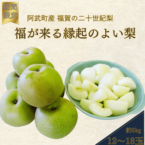 [ 先行予約 ] 二十世紀梨 約5kg (12〜18玉) 福賀産 ( 山口県阿武町 ) 高糖度 & シャキシャキ食感 昼夜の寒暖差が育む旬の味 梨 フルーツ 果物 デザート [お届け:2025年8月下旬〜9月15日頃] 数量限定