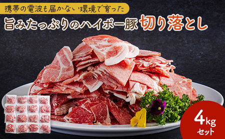 豚肉 山口県産 豚 切り落とし 4kgセット | 携帯の電波も届かない環境で育った旨みたっぷりのハイポー豚 豚 肉 お肉 ※配送不可:離島