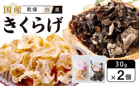 Y 炰 EZbg 30g×2 (v60g)