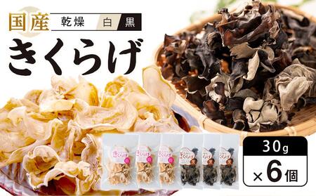 Y 炰 EZbg30g×6 iv180gj