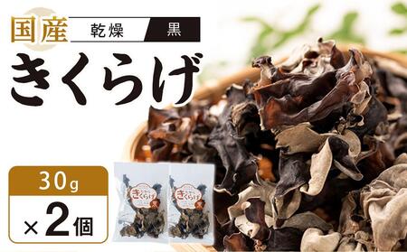 Y 炰 @30g×2 (v60g)