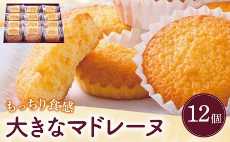 傫ȃ}h[k@12