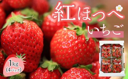  (gق؁j250g×4pbNi1kgj