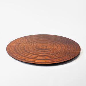 RAYS PLATE Round L  P bg[ v[g M M H CeA