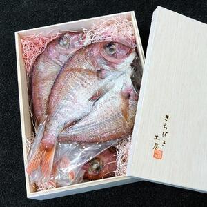 天然鳴門鯛 一夜干し（250g ×3枚）冷凍