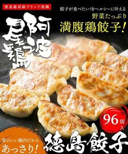 阿波尾鶏 徳島餃子96個入