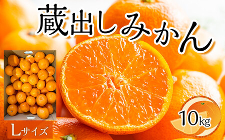 先行予約 蔵出しみかん Lサイズ(10kg)