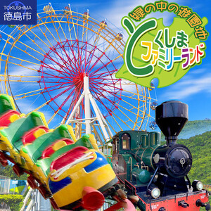 とくしまファミリーランド アトラクション 回数券(11枚つづり) x 1冊