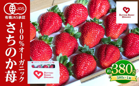 徳島 厳選 グルメ定期便[12ヶ月毎月お届け]