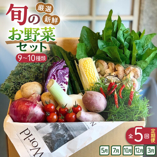 [全5回定期便]野菜セット 旬の野菜 (9~10種類)