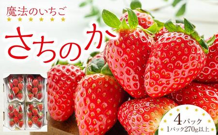 s\ @̂ ̂ (1pbN270gȏ×4pbN) 26N1菇