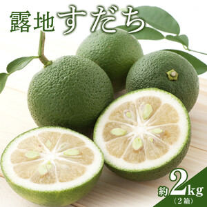 【期間限定】露地すだち約2kg（1箱約1kg×2箱）