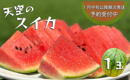 【予約受付中・7月中旬以降順次発送】 天空のスイカ 【数量限定】 すいか 西瓜 小玉スイカ 栽培期間中農薬不使用　鳴門　 甘い 小玉 果物  フルーツ ギフト 人気商品  敬老の日 　スイカ　スイカ　スイカ