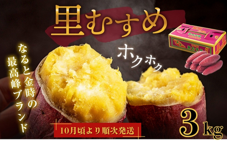 y \tE2025N9{`10菇 zȂƋ ނ 3kg@@܈@Tc}C@قق@َq@@VՂ@Ă Mtg 蕨 yY  