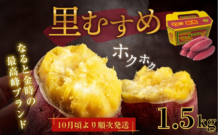 [ 予約受付中・2025年9月下旬〜10月頃より順次発送 ]なると金時 里むすめ 1.5kg